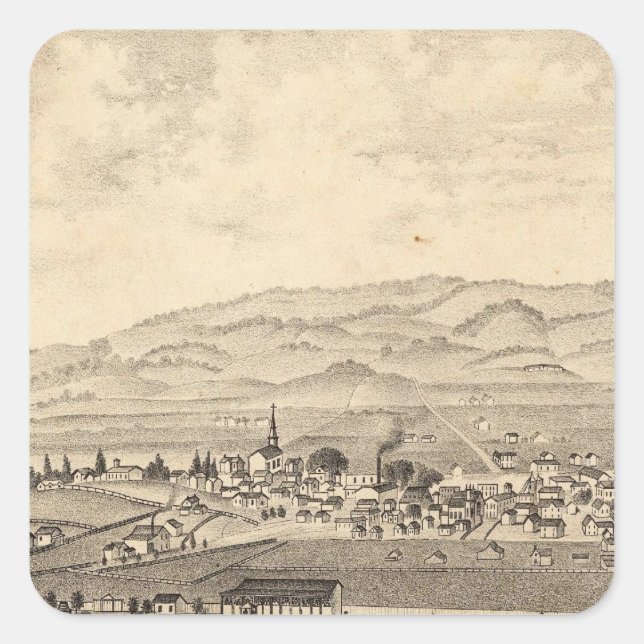 Pegatina Cuadrada Sociedad Agrícola del Distrito de Sonoma y Marin (Anverso)