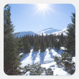 Pegatina Cuadrada Sol invernal 5