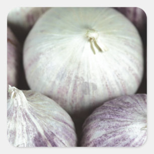 Pegatina Cuadrada Solo Garlic