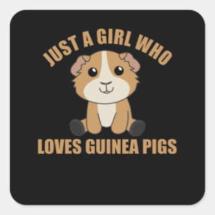 Pegatina Cuadrada Solo un Chica que ama a los cerdos de Guinea - Gui