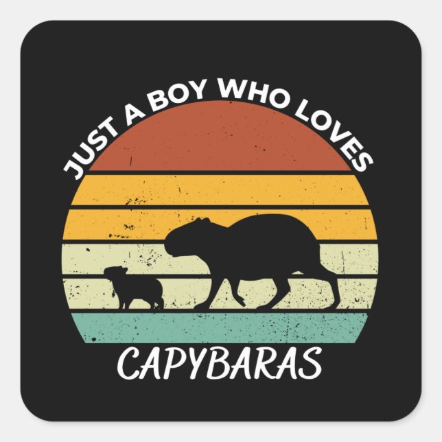 Pegatina Cuadrada Solo un chico que ama a los capybaras (Anverso)