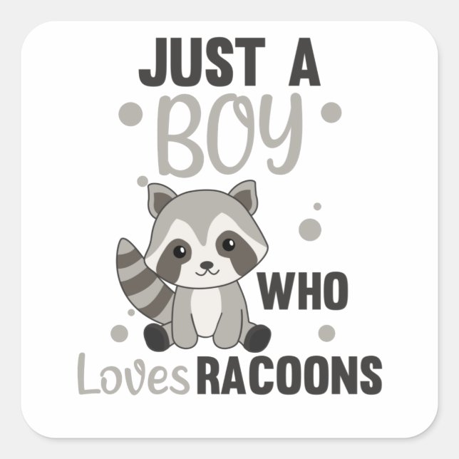 Pegatina Cuadrada Solo un chico que ama a Racoons Kawaii Raccoon (Anverso)