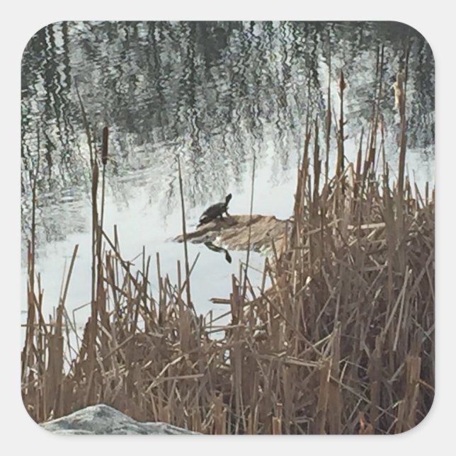 Pegatina Cuadrada Solsticio de invierno (Anverso)