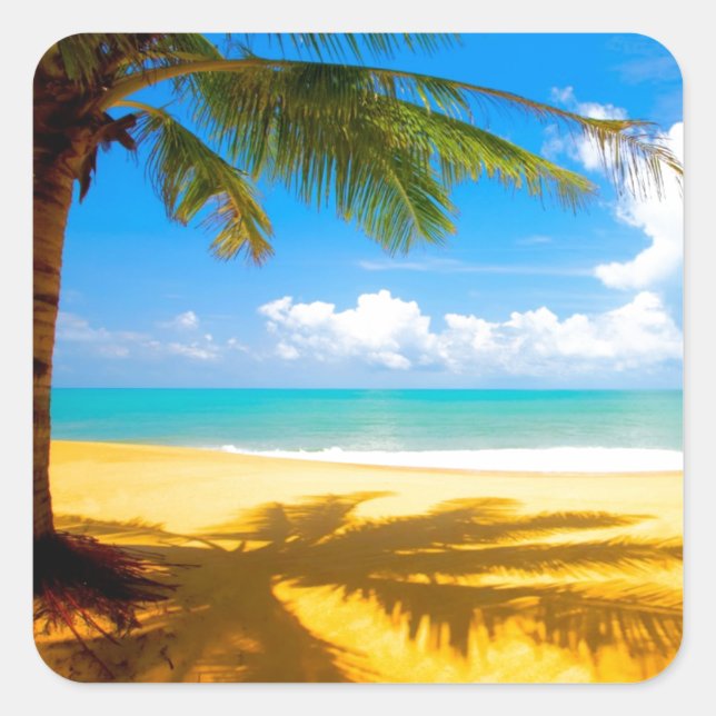 Pegatina Cuadrada Sombras de árbol de palmas (Anverso)