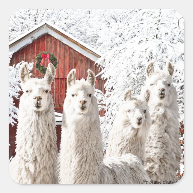 Pegatina Cuadrada "¡Son Navidades!" Pegatinas (Anverso)