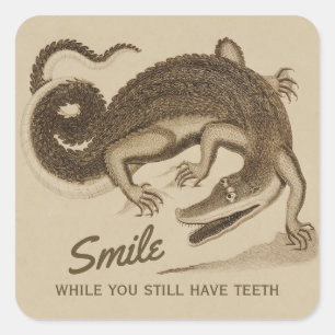 Pegatina Cuadrada Sonríe mientras todavía tienes dientes CC0890 Co