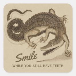 Pegatina Cuadrada Sonríe mientras todavía tienes dientes CC0890 Coco
