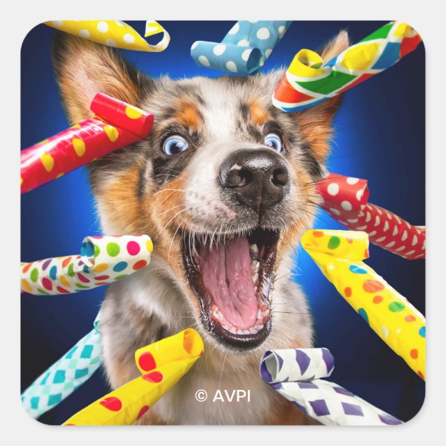 Pegatina Cuadrada Sopladores de fiesta de perro feliz (Anverso)