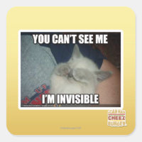 Soy invisible