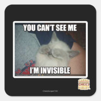 Soy invisible