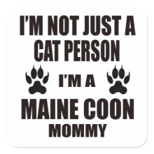 Soy una mamá de Maine Coon