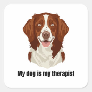 Pegatina Cuadrada Spaniel Bretón