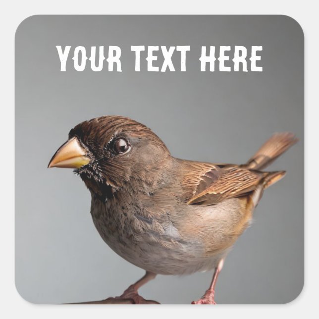 Pegatina Cuadrada Sparrow (Anverso)