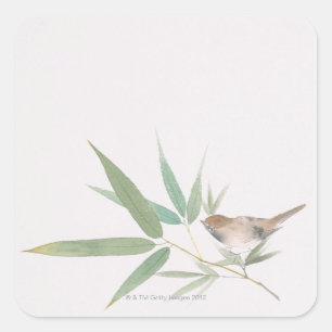 Pegatina Cuadrada Sparrow y Bamboo
