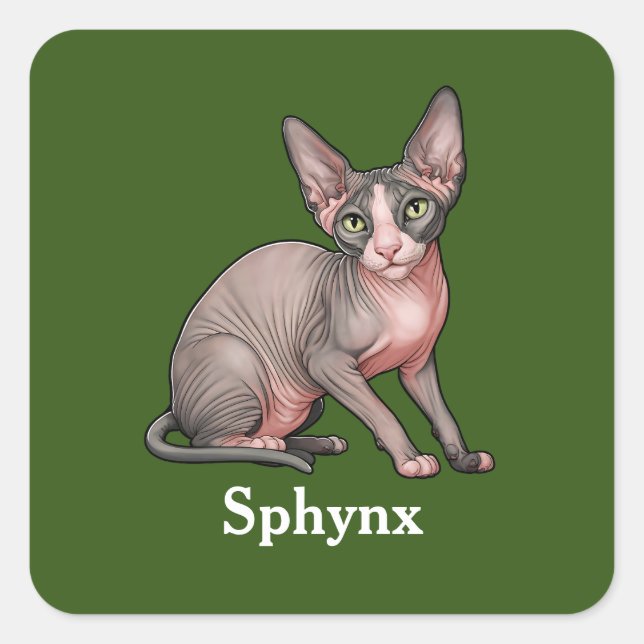 Pegatina Cuadrada Sphynx (Anverso)
