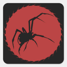 Spider de viuda negra