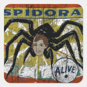 Pegatina Cuadrada Spidora