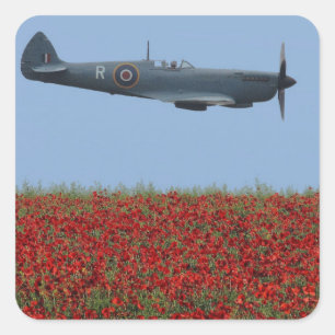 Pegatina Cuadrada Spitfire y Poppies