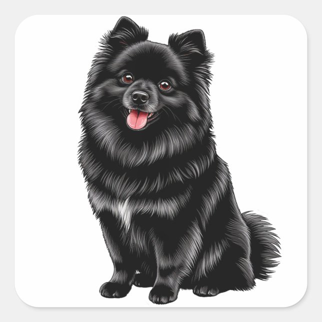 Pegatina Cuadrada Spitz Japonés Negro (Anverso)