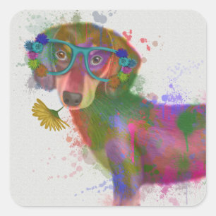 Pegatina Cuadrada Splash de arcoiris Dachshund y Glass