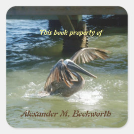 Pegatina Cuadrada Splashdown Personalizado Bookplate