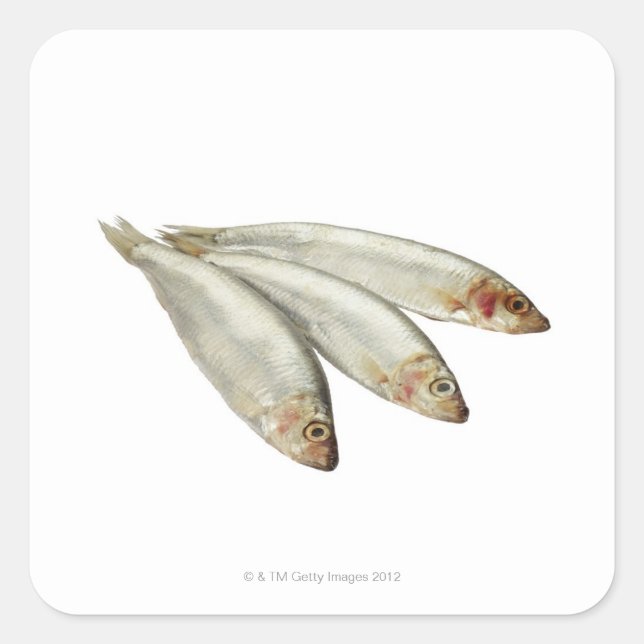 Pegatina Cuadrada Sprats (Anverso)
