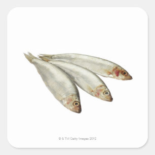 Pegatina Cuadrada Sprats