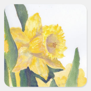 Pegatina Cuadrada Spring Daffodils