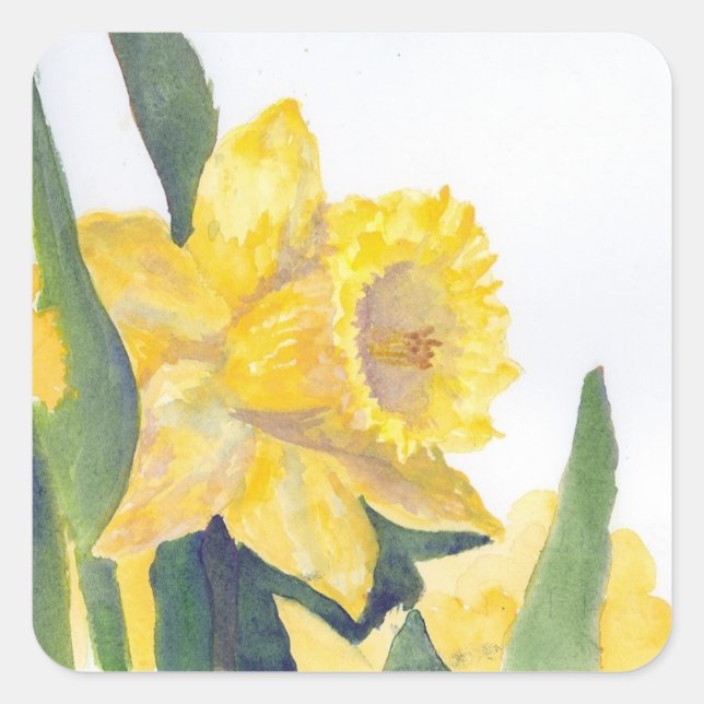 Pegatina Cuadrada Spring Daffodils (Anverso)