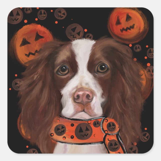 Pegatina Cuadrada Springer Spaniel Inglés        (Anverso)