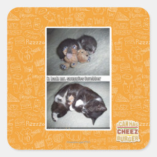 Pegatina Cuadrada Sr. snuggies forebber del hadz del iz