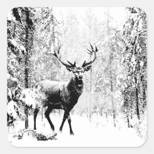 Pegatina Cuadrada Stag Deer Winter Forest Wildlife Animal Nature Art