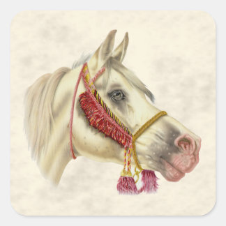 Pegatina Cuadrada Stallion árabe