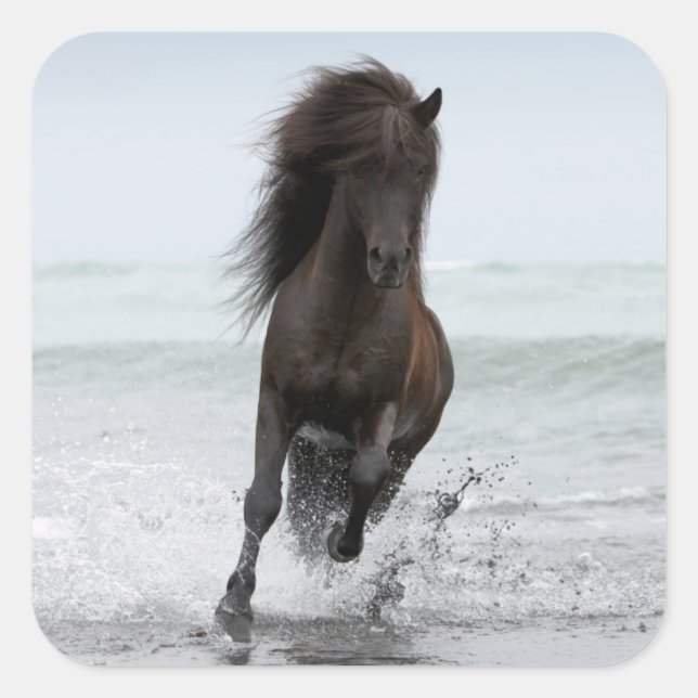 Pegatina Cuadrada Stallion Running On Beach | Atlántico Norte (Anverso)