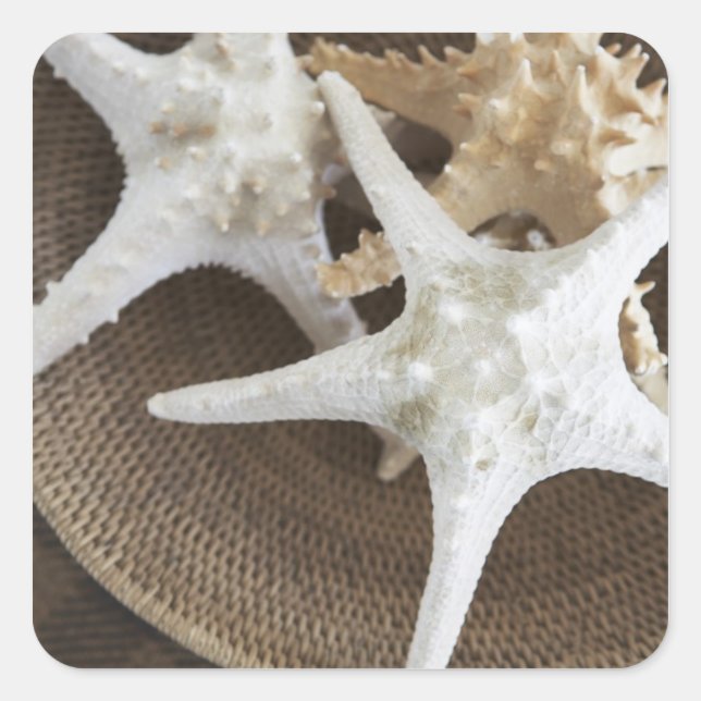 Pegatina Cuadrada Starfish en una cesta (Anverso)