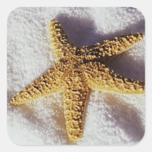 Pegatina Cuadrada Starfish En Una Toalla