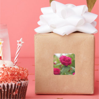 Pegatina Cuadrada Sticker