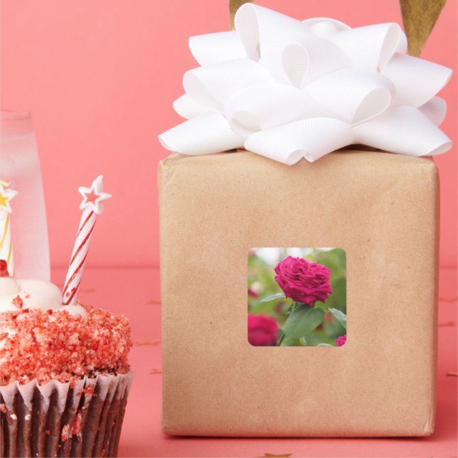 Pegatina Cuadrada Sticker (Fiesta)