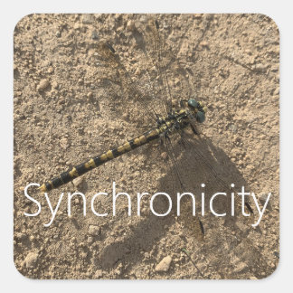 Pegatina Cuadrada Sticker 'Synchronicity'