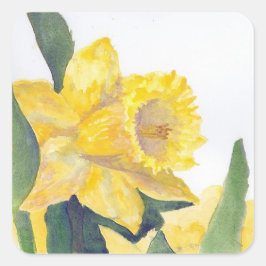 Pegatina Cuadrada Stickr Yellow Daffodil sobre Nantucket