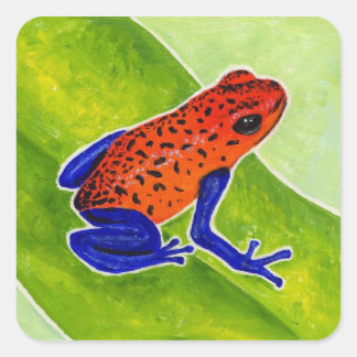 Pegatina Cuadrada Strawberry Poison Dart Frog