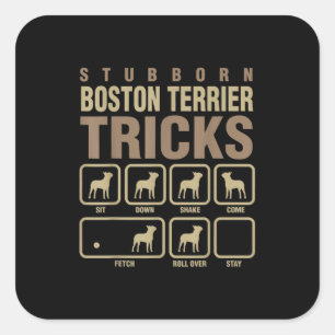 Pegatina Cuadrada Stubborn Boston Terrier Tricks Perro T-Shirt
