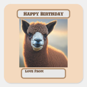 Pegatina Cuadrada "Su majestad flauta: La Gran Alpaca Marrón Wooly"