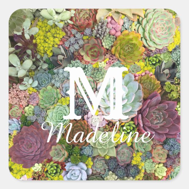 Pegatina Cuadrada Suculentos paisajes coloridos (Anverso)