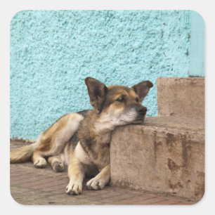 Pegatina Cuadrada Sudamérica, Chile, Valparaíso. Alemán