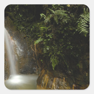 Pegatina Cuadrada Sudamérica, Ecuador, vertiente oriental de la
