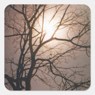 Pegatina Cuadrada Sueño de luna