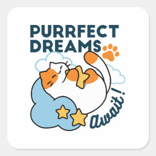 Pegatina Cuadrada Sueños Perfectos Esperan – Gato Dormido Soñador
