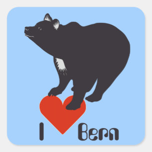 Pegatina Cuadrada Suiza Suisse Svizzera Svizra Switzerland pegamento