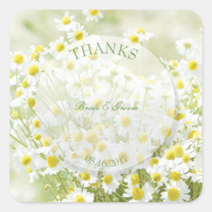 Pegatina Cuadrada Summerfield Daisies Chamomile Flower Boda Gracias